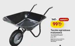 Castorama Taczka ogrodowa malowana oferta