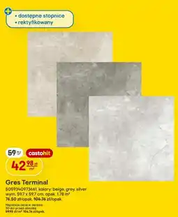 Castorama Gres Terminal 59,7x59,7 cm oferta