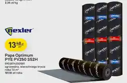 Castorama Papa Optimum Pye PV250 S52H Nexler oferta