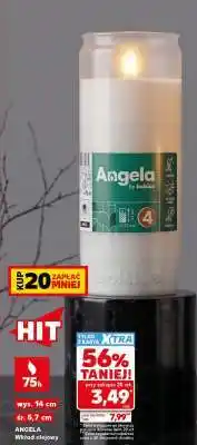 Kaufland ANGELA Wkład olejowy oferta