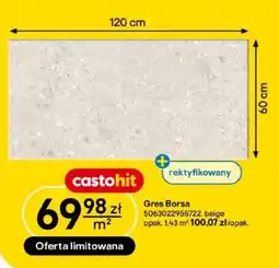 Castorama Gres Borsa oferta