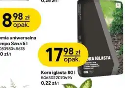Castorama Kora iglasta oferta