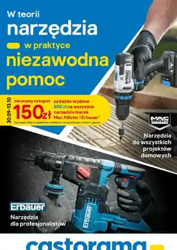 Castorama Narzędzia Mac Allister i Erbauer oferta