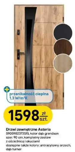 Castorama Drzwi zewnętrzne Asteria oferta