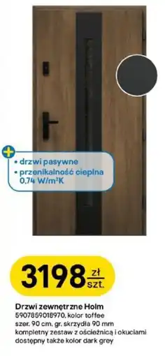 Castorama Drzwi zewnętrzne Holm oferta
