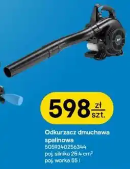 Castorama Odkurzacz dmuchawa spalinowa oferta