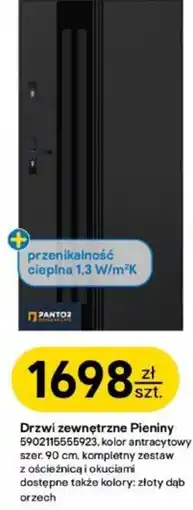 Castorama Drzwi zewnętrzne Pieniny oferta