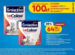 Castorama Farba kolorowa Śnieżka beColour oferta