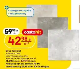 Castorama Gres Terminal castohit oferta