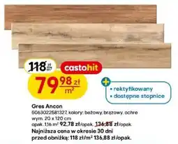 Castorama Gres Ancon oferta