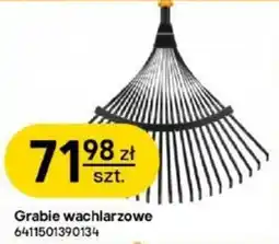 Castorama Grabie wachlarzowe oferta