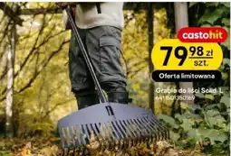 Castorama Grabie do liści Solid L oferta