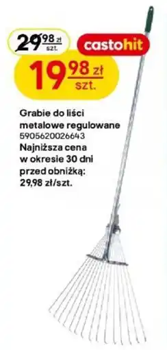 Castorama Grabie do liści metalowe regulowane oferta