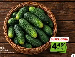 Groszek Obrzydki zielone oferta