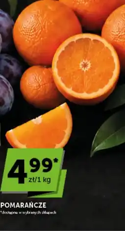 Groszek Pomarańcze oferta