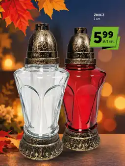 Groszek Znicz oferta