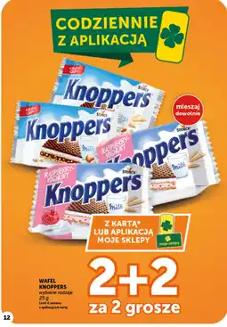 Groszek Wafel Knoppers oferta