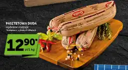 Groszek Pasz tetowa Duda oferta