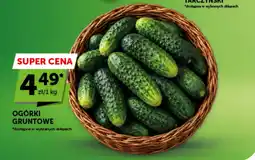 Groszek Ogórki Gruntowe Tarczynski oferta