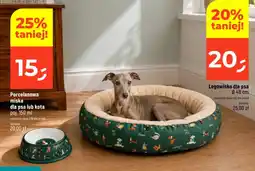 Dealz Porcelanowa miska dla psa lub kota oferta