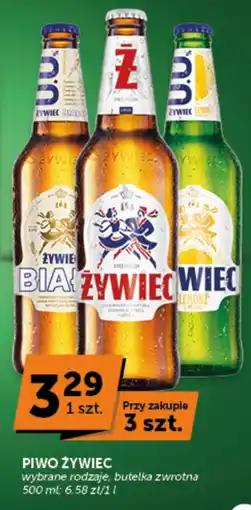 Groszek Piwo Żywiec oferta