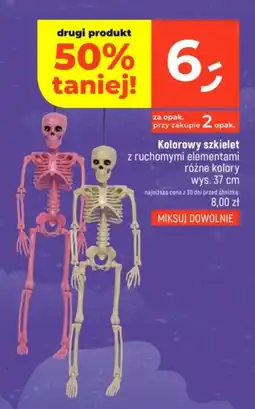 Dealz Kolorowy szkielet oferta