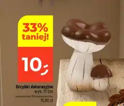 Dealz Grzybki dekoracyjne oferta