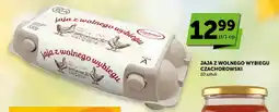 Groszek Jaja z wolnego wybiegu Czachorowski oferta