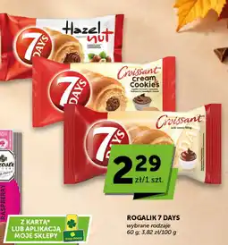Groszek Rogalik 7 Days oferta