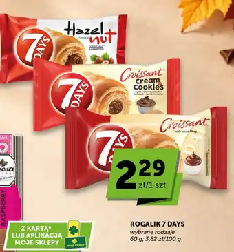 Rogalik 7 Days