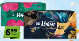 Groszek Velvet Excellence oferta