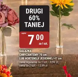 bi1 Gałązka Chryzantemy lub Hortensji Jesiennej oferta
