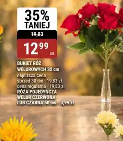 bi1 Bukiet Róż Welurowych oferta