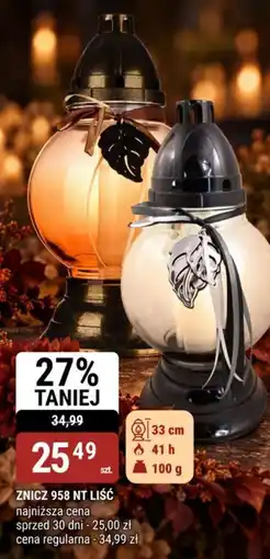 bi1 Znicz 958 NT Liść oferta