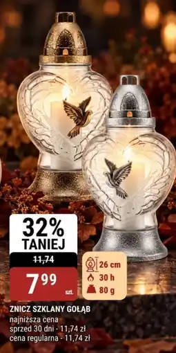bi1 Znicz Szklany Gołąb oferta