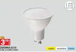 Merkury Market ŻARÓWKA GU10 oferta