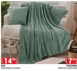 Merkury Market KOC oferta