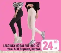 TomiMarkt Legginsy Moraj oferta
