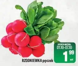 TomiMarkt RZODKIEWKA pęczek oferta
