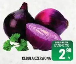 TomiMarkt Cebula Czerwona oferta