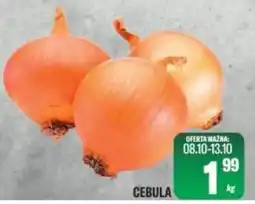 TomiMarkt Cebula oferta