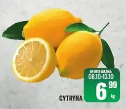 TomiMarkt Cytryna oferta
