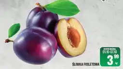 TomiMarkt Śliwka Fioletowa oferta
