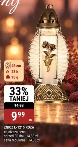 bi1 Znicz L-1215 Róża oferta