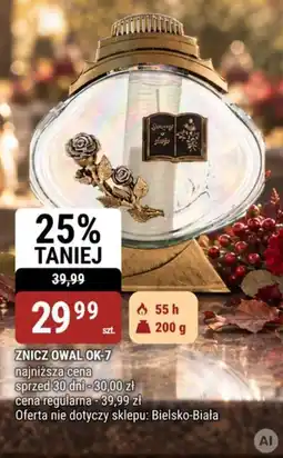 bi1 ZNICZ OWAL OK-7 oferta