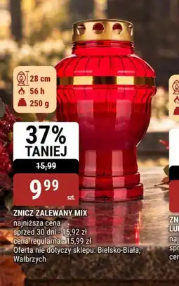 bi1 Znicz Zalewany Mix oferta