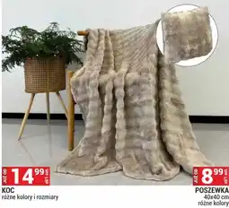 Merkury Market Koc oferta