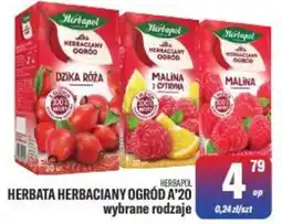 TomiMarkt Herbata Herbacyjny Ogród A'20 oferta