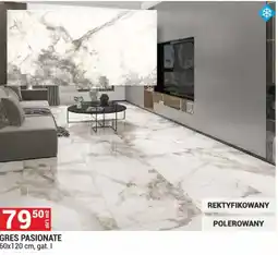 Merkury Market Gres Pasionate oferta