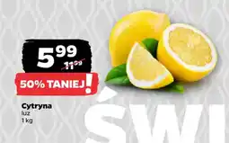 Netto Cytryna luz oferta